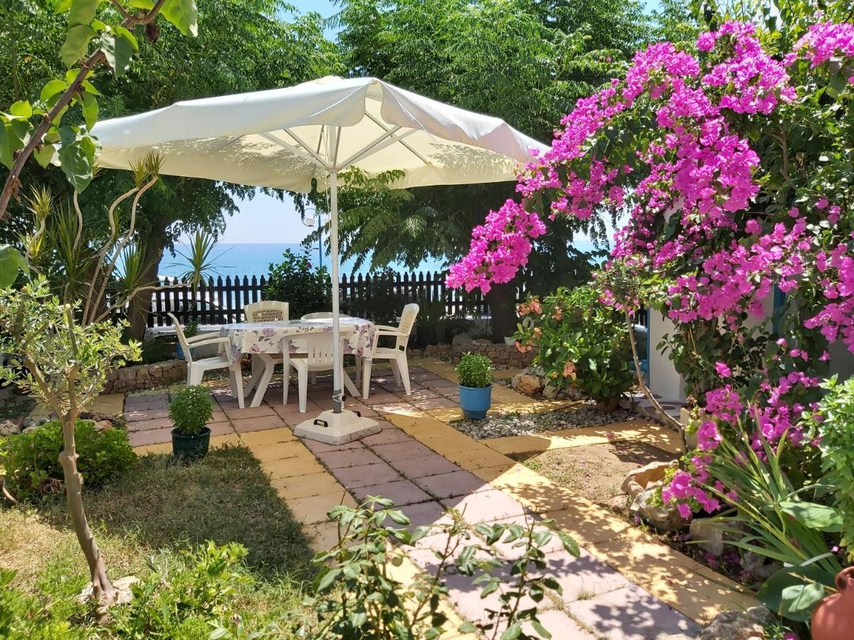 Stegnailion Apartment Archangelos  Exterior photo